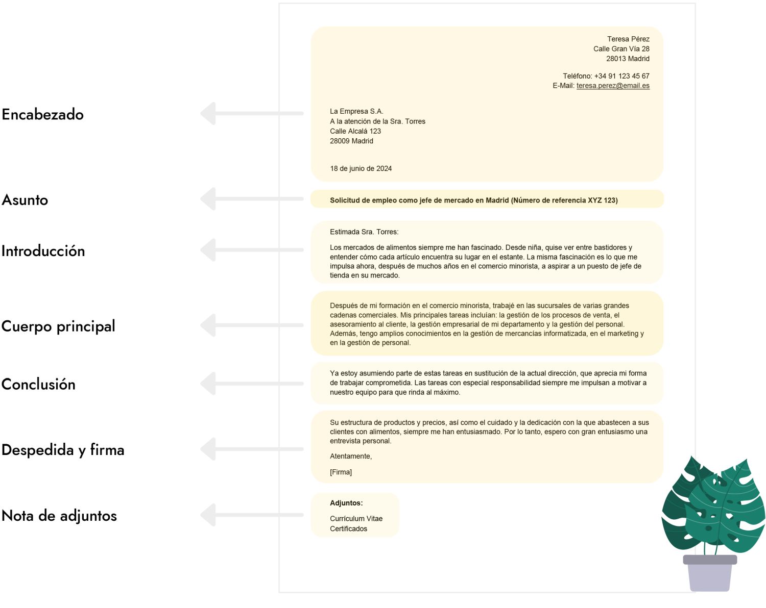 Carta de presentación: Estructura y diseño